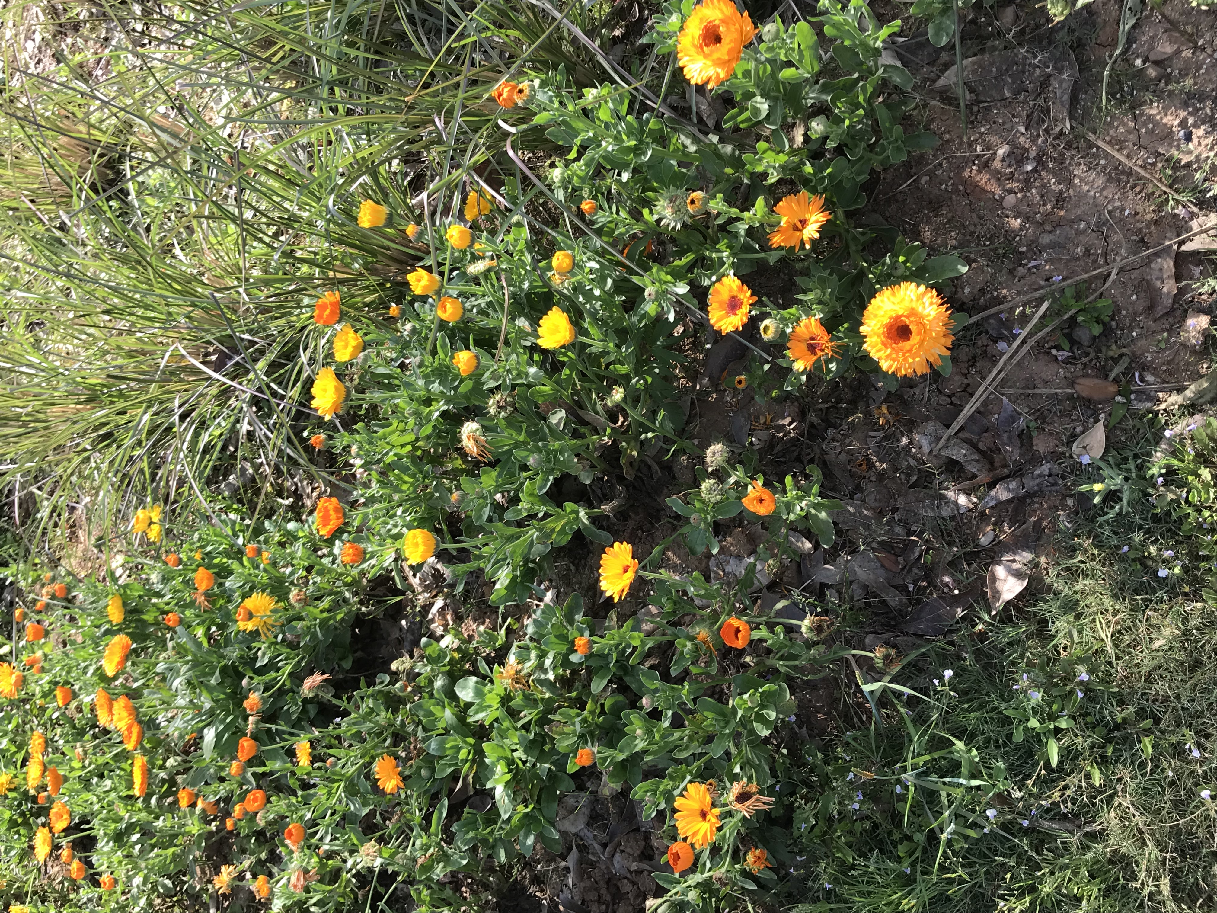 ./2018/03 - Viking China/17 - Three Gorges/IMG_8396.JPG